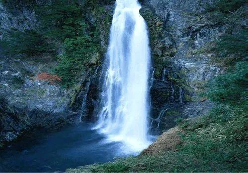 虫虫助手下载